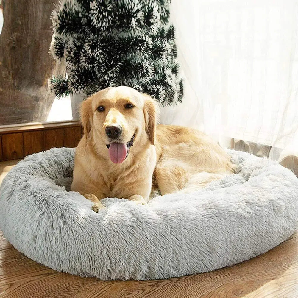 Donut Dog Bed